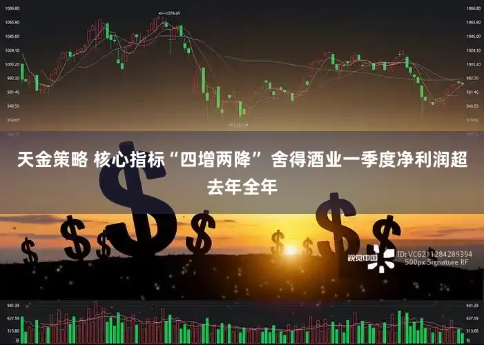 天金策略 核心指标“四增两降” 舍得酒业一季度净利润超去年全年