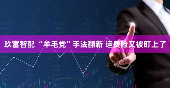 玖富智配 “羊毛党”手法翻新 运费险又被盯上了