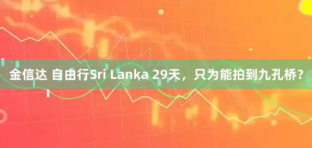 金信达 自由行Sri Lanka 29天，只为能拍到九孔桥？