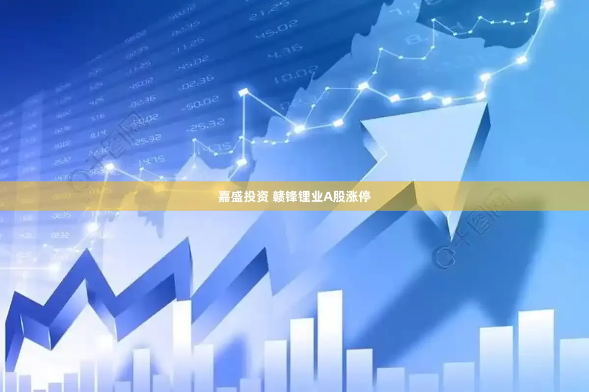 嘉盛投资 赣锋锂业A股涨停